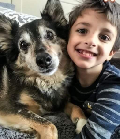 After bringing a rescued dog home with us, my 8-year-old son vanished the following evening.