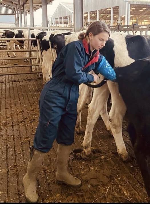 THEY LAUGHED WHEN I SAID I MILK COWS BUT THEN CAME THE REUNION