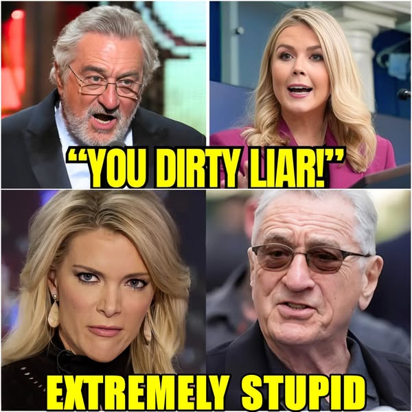 Karoline Leavitt DESTROYS Robert De Niro On Live TV